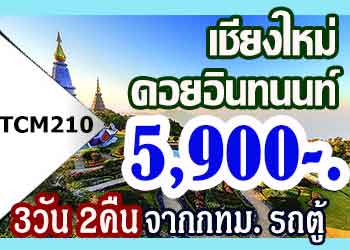 TCM210 ทัวร์เชียงใหม่ ดอยอินทนนท์ ปาย Coffee in love 5,900 บาทรถตู้ - 3วัน 2คืน