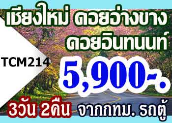 TCM214 ทัวร์เชียงใหม่ ดอยอินทนนท์ ดอยอ่างขาง 5,900 บาท จากกทม.รถตู้ - 3วัน 2คืน
