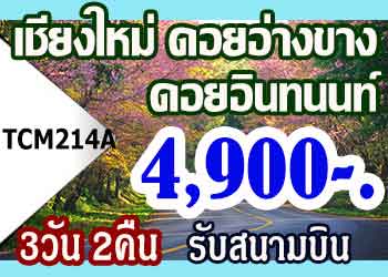TCM214A ทัวร์เชียงใหม่ ดอยอ่างขาง ดอยอินทนน 4,900 บาทรับสนามบิน - 3วัน 2คืน