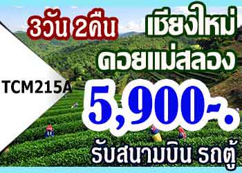 TCM215A  ทัวร์เชียงใหม่ ดอยแม่สลอง 5900 บาท รับสนามบิน รถตู้ - 3วัน 2คืน