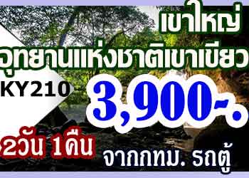 KY210  ทัวร์เขาใหญ่ อุทยานแห่งชาติ เขาเขียว 3,900 บาท จากกทม.รถตู้ - 2วัน 1คืน
