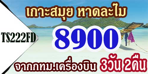 TS222FD ทัวร์เกาะสมุย หาดละไม 8,900 บาท จาก กทม.เครื่องบิน - 3วัน 2คืน