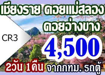 CR3 ทัวร์เชียงราย ดอยแม่สลอง ดอยอ่างขาง 4500 บาท จากกทม.รถตู้ - 2วัน 1คืน