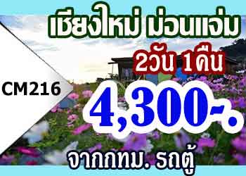 ทัวร์เชียงใหม่ ม่อนแจ่ม 4300 บาท จากกทม.รถตู้