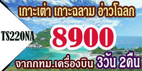 ทัวร์เกาะเต่า เกาะฉลาม อ่าวโฉลก 8,900 บาท จาก กทม.เครื่องบิน