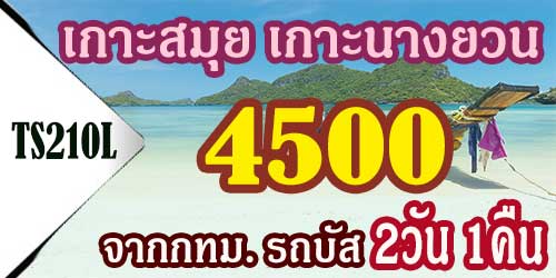 ทัวร์เกาะสมุย เกาะนางยวน 4,500 บาท จาก กทม.รถบัส