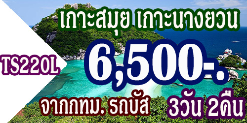 ทัวร์เกาะสมุย เกาะนางยวน 6,500 บาท จากกทม. รถบัส