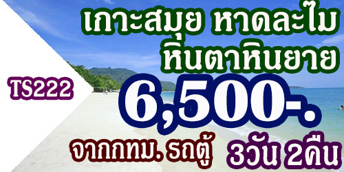 ทัวร์เกาะสมุย หาดละไม หินตาหินยาย  6,500 บาทจากกทม.รถตู้