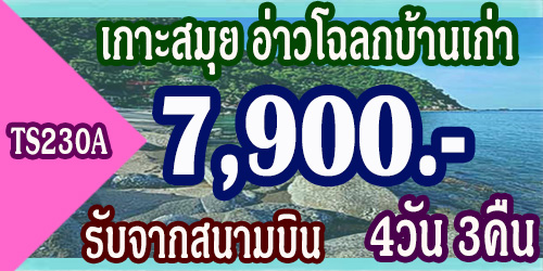 ทัวร์เกาะสมุย อ่าวโฉลกบ้านเก่า 7,900 บาท  รับจากสนามบิน