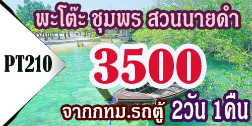 ทัวร์พะโต๊ะ ชุมพร สวนนายดำ 3,500 บาท จากกทม รถตู้