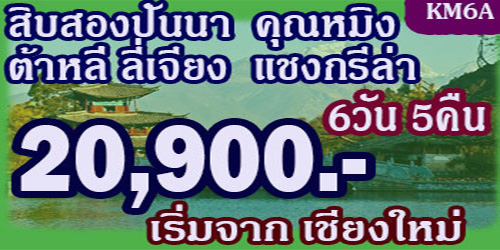 ทัวร์ต้าหลี่ ลี่เจียง สิบสองปันนา 20,900 บาท เชียงใหม่