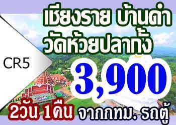 ทัวร์เชียงราย วัดห้วยปลากั้ง บ้านดำ 3900บาท จากกทม.รถตู้