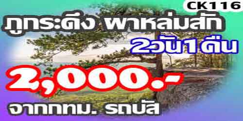 ทัวร์ภูกระดึง ผาหล่มสัก 2,000 บาท จาก กทม.รถบัส
