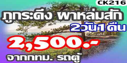 ทัวร์ภูกระดึง ผาหล่มสัก 2,500 บาท จาก กทม.รถตู้