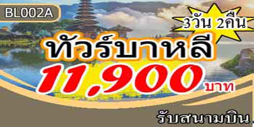 ทัวร์อินโดนีเซีย บันดุง 11,900 บาท รับสนามบิน