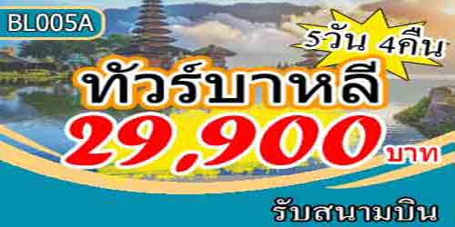 ทัวร์บาหลี วัดปะวน 29,900 บาท รับสนามบิน