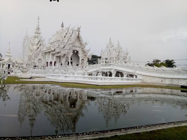 ทัวร์เชียงราย ภูชี้ฟ้า ดอยอ่างขาง กรุ๊ปจอย ปี2561